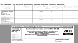 Citizens for a Strong America (EIN#27-1204594) 2015+2010 (initial) images WackoInWI post 2010 ~ SShot 2017July22 @ 8.32.34&nbsp;PM