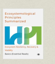 ISI INQ’RNG SYSTMS INC (EIN#94254840) WEBSITE IMAGES POBox 2067 Sonoma CA [see my 5-3-2014 post Acctg Lit’cy Matters] SShot 2017July07 @5.14.51&nbsp;PM