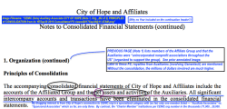 CENIC (Sole) Auxiliary Associate CITY OF HOPE (Note 1, Org., (#2 of 2) PRINCIPLES of CONSOLIDATION from its YESep30 2016 Consolidated FS viewed2017Sep30@11.47AM