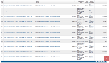 Screenshot (Links not active) of TAGGS Grant 90CZ0018 showing recipient, award#, Princ Investigator and amounts, with 2009 at the top. After six-seven years of grants, the center gets a facelift and name change. The new center doesn't have a whole lot to say, except about its Russian /Eurasia foundation partnerships (and redirect readers back to Child Welfare Info Gateway for more Family (and Father) engagement) "Cute." 