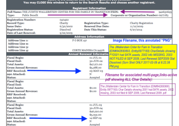 the-jwallerstein-cnter-for-fam-in-transition-ein942650693-entity0977183-chardetails-showing-fy2001-had-47k-assets-2002-info-missing-2003-not-filed-til-sep-2009-last-renewal-sep2009-stat-dissol