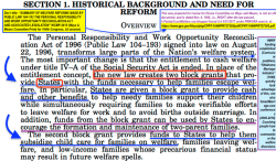 1996Nov House W&M PRWORA Summary (excerpt shows 2 block grants) ScrShot 2017-05-31 at&nbsp;3.42PM