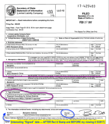 7 DOLINKA Group LLC (2007ff in CA (cf Capital Apprec Bonds)+ DeJong-Richter LLC 2006-2017 (OH) merged into Coopt’ve Strategies LLC in IrvineCA) ORG WEBSites + FILINGS SShot2017May27&nbsp;@1