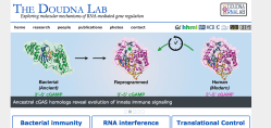 Doudna Lab Home Page (RNA-Berkeley-EDU) SShot 2017Jun15 @4.25.36&nbsp;PM