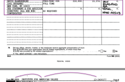 IAV (EIN#133400377 DBlankenhorn) Early (02,03) Form990 (FYE Feb) excerpts SShot 2017Jun23 @4.32.35&nbsp;PM