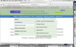 NASMHPD Website Views (see Do You Know Your?) Oct 25 2014 Draft post, Pt 2) SShot 2017Jun26 @12.59.47 PM&nbsp;00003