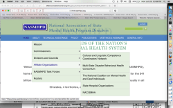 NASMHPD Website Views (see Do You Know Your?) Oct 25 2014 Draft post, Pt 2) SShot 2017Jun26 @12.59.59&nbsp;PM