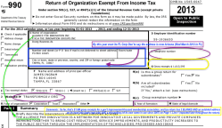 AllianceForInnovatn (EIN#591936650) FY2013 or is it AlliENCE? PtI Top missing Basic Info Sshot2017July05 at&nbsp;8.29PM