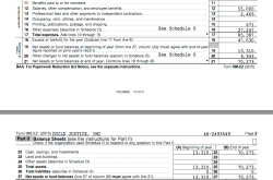 ChildJusticeInc in DC, EIN# 462593549, FY2015 Form 990EZ ** from CJI website [Salaries=55K not 60K, Ln21 matches Page2 top amt) ~ SShot 2017July12@5.16.39 PM