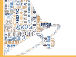 MentalHealthAmerica Affiliate Descr+ Benefits Sshot 2017July01 @6.05.14 PM&nbsp;2