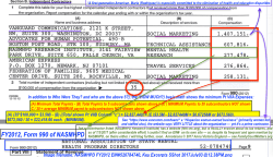 NASMHPD FY2012 EIN#520784740, Key Excerpts SShot 2017July03&nbsp;@12.38PM