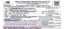 Natl Council for Commty Behav’l Healthcare (in MD) FY2002 EIN# 237092671 showing NCCBH’org website and only 2’5M gross recepts Screen Shot 2017-08-19 at 3.45.17&nbsp;PM