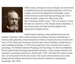 Screen Shot 2017-08-03 at 3.50.48&nbsp;PM