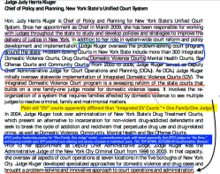 2010 COSCA+NCSC ~Natl Ldrship Summitt on State Court Responses to DV (held in NOLA) Hon Susan Carbon also there ~Viewed 2017Oct19 Thu @ 7.56.52&nbsp;PM