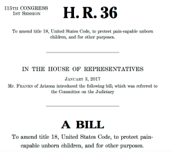 Screen Shot 2017-10-04 at 4.56.31&nbsp;PM