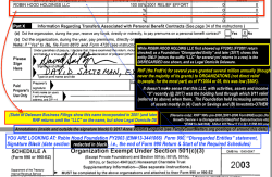 RHF* 990s pre-2008 [2001-2006 Form990Excrpts (for Growth Overvw + re Disregarded Entities|Prof Subcontractors etc) *[EIN#13-3441066] SShot 2017Nov17 Fri @1.31PM&nbsp;003