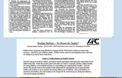 from (pre-PRWORA) Services to Noncustodial Parents (Clinton library notes 110pp) (two images only) – SShot 2017Dec07 Thu @ 5.26.34&nbsp;PM