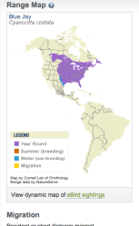 Screen Shot 2018-01-09 at 6.03.09&nbsp;PM