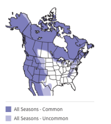 Screen Shot 2018-01-09 at 6.17.19&nbsp;PM