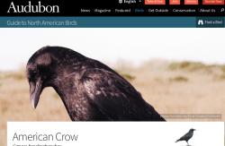 Screen Shot 2018-01-09 at 6.35.32 PM