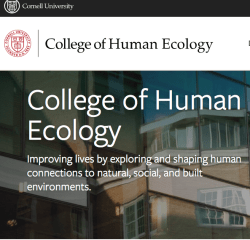 Screen Shot 2018-02-17 at 2.07.22&nbsp;PM