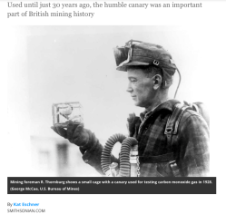 Screen Shot 2018-03-07 at 2.03.56&nbsp;PM