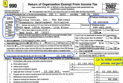 LivingCities Inc the NCDI (EIN#260003950) Initial Form 990 FY2002 excerpts ~~Viewed 2018Apr9 @7.38.12 PM&nbsp;00000