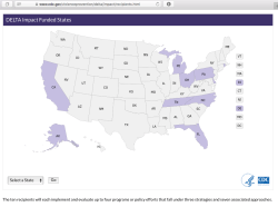 CDC’gov, DELTA IMPACT Grantees 2018June22 @1.28.05&nbsp;PM