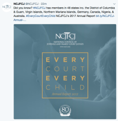 NCJFCJ cover Annual Rept 2016-17 EVERY COURT EVERY CHILD 2018Jun21 @12.33.06&nbsp;PM