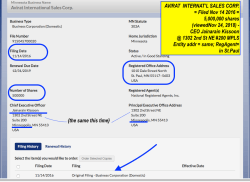 Avirat, Inc (2001) +GlobalSalesCorp +Internat’lSalesCorp (2017, 2016) (cf OurFamilyWizard®) MN MBLS Portal Jai Kissoon (1302 NE 2nd St #200, MplsMN + addr srch) ~~ 7 SShots 2018Nov24&nbsp;S