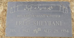 Screen Shot 2019-04-29 at 11.53.06&nbsp;AM