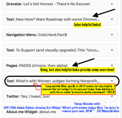 LGH | FCM Admin Sidebar showing Text Widget ‘What’s with women Judges filing’ I’m about to remove (post ends -9YW ~~ 2019May20 Mon @ 9.15.30&nbsp;AM
