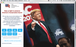 ACU | ‘Conservative’org’ About (Top,Bottom) Bd of Direx etc (Warning| little text lots of white space | needlessly!) No Financials, Crappy Layout, mustB 501c3+501c4 ~~9 SShots 2019Jun29 Sat PST @1.53.36&nbsp;PM