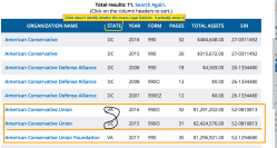 ‘American Conservative’ 990 Srch | 2 oddball entities (top) + 2~>EIN#520810813 (501©4) + 521294680 (501©3, website ‘ERROR’ | cf AES BdDirex MARK RODGERS(TheClaphamGroup) ~~SShot 2019Jun29 @ 2.09.09&nbsp;PM