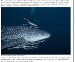 Screen Shot 2019-06-26 at 3.10.35 PM