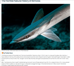 Screen Shot 2019-06-26 at 3.22.01 PM