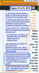 FamilyCourtMatters’ (Blog Sidebar) ‘PAGES’ in NINE (9) SSHOTS, from Top to Bottom, taken 2019JULY29 MON PST @3.15.10 PM&nbsp;1