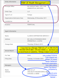 (Looking in ILLINOIS for) RSM US LLP, auditor of FYE June30 2018 Truth Initiative & Affiliate (i.e. M Street Holdings LLC) Financial Statemts || SShots 2019Aug16 FRI PST @12.36.43&nbsp;PM