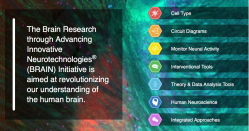 Screen Shot 2019-10-16 at 6.06.06&nbsp;PM