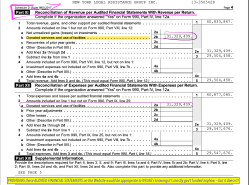 NYLAG (EIN#133505128, 1989ff, website and web-provided ‘FY2018’ (Actually FY2017 YE Jun2018) Tax Returns) signer to an IACHR Petitn re DV issues, My Jun2020 post) ~~ 2020June20 Sat PST @ 4.28.22 PM&nbsp;12