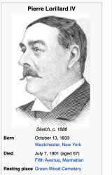 Screen Shot 2020-06-15 at 8.33.17&nbsp;PM