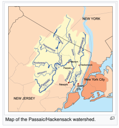 Screen Shot 2020-06-15 at 8.45.42&nbsp;PM